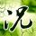 名侦探柯南